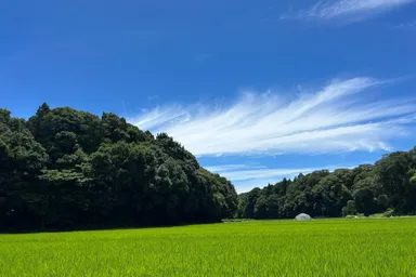エグチライスファーム