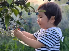 手賀沼ブルーベリーサマー