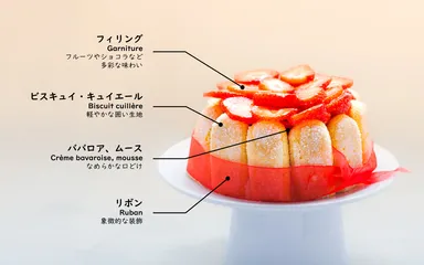 シャルロットの基本的な構図