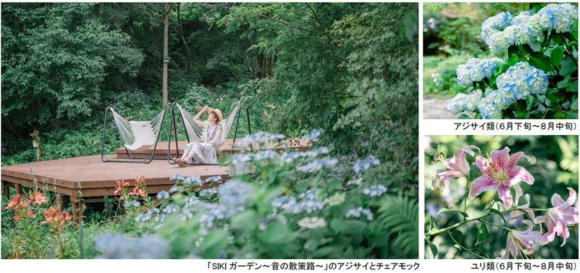 ROKKO森の音ミュージアム
SIKIガーデンSummer Season“Symphony”
夏の花々とアート、音楽が調和したフェアを開催
2026年6月26日（金）～8月21日（金）