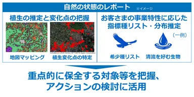 <自然資本モニタリングソリューションのアウトプットイメージ>