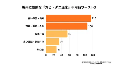 梅雨に危険な『カビ・ダニ温床』不用品ワースト3