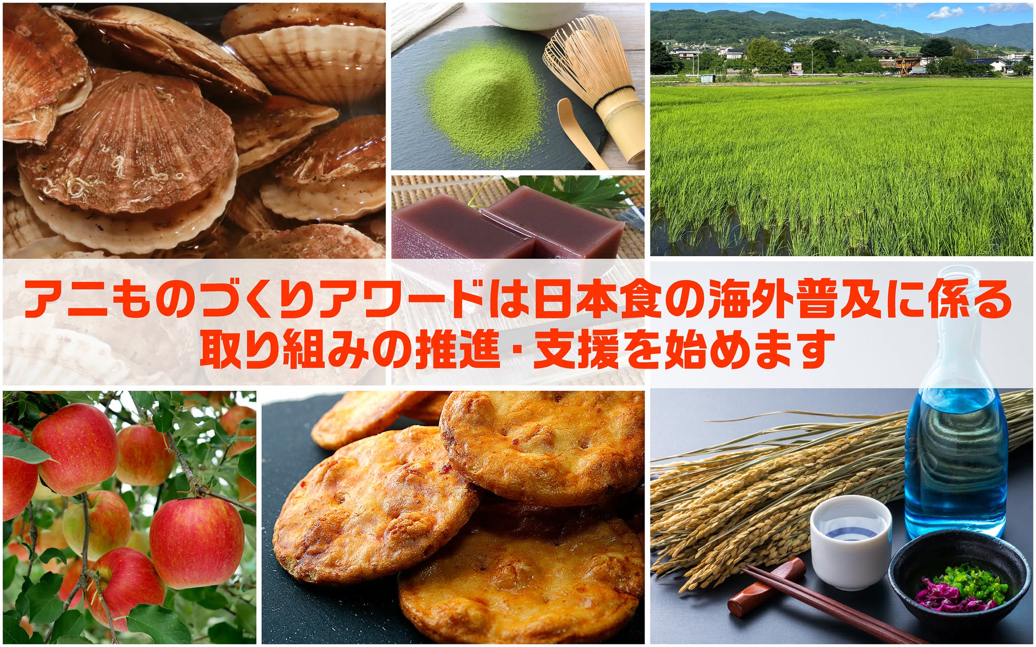Img 601396 1
