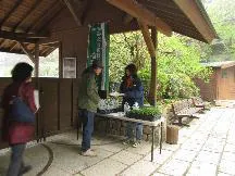 過年度苗プレゼントの様子