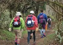 植物園スタッフと歩く山上散歩（イメージ）