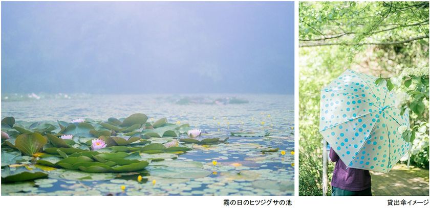 ROKKO森の音ミュージアム
雨の日こそ霧が幻想的な博物館へ
レイニーシーズンSNSキャンペーン
2026年6月1日(月)~7月17日(金)
