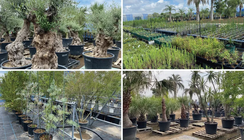 広大な敷地に500種20,000本の希少植物を販売する植栽専門大型ショップ『Botaniqa Atelier』