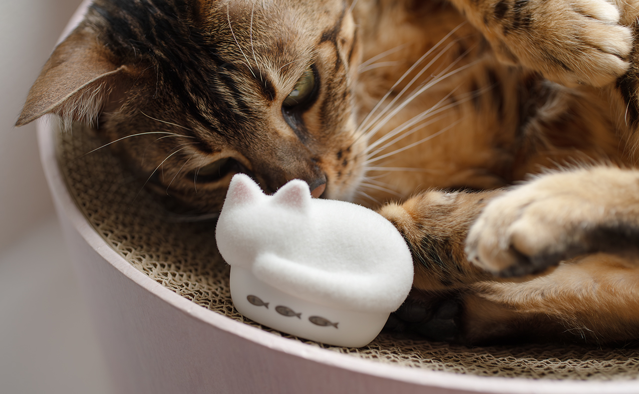ふわふわのネコ ラディウスのNEKO」が30周年特別モデルでふわふわに！ 猫モチーフの