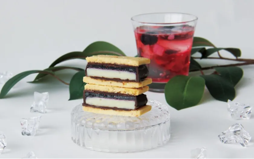 GAKUチョコレートサンド~信州ブルーベリー~
