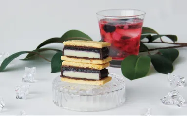 GAKUチョコレートサンド～信州ブルーベリー～