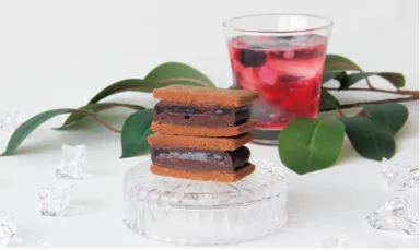 GAKUチョコレートサンド～信州ラズベリー～