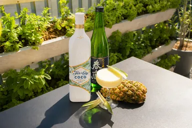 「Nara Colada  ナラ・コラーダ」