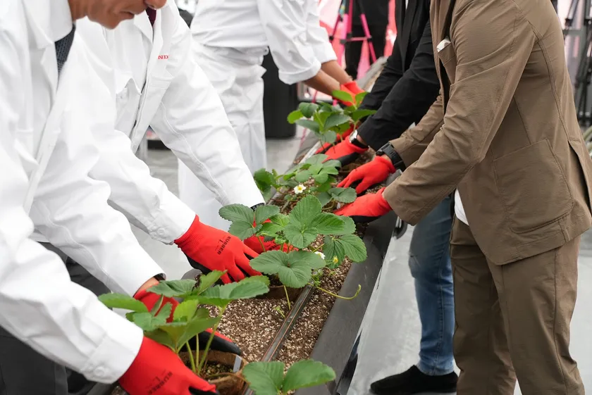登壇者が苗を植え、実証のスタートを示す