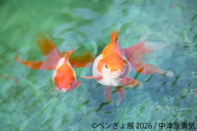 展示作品：中津原勇気 (1)