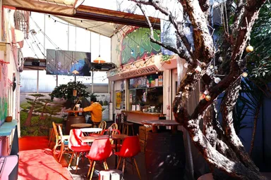 DF cafe&bar