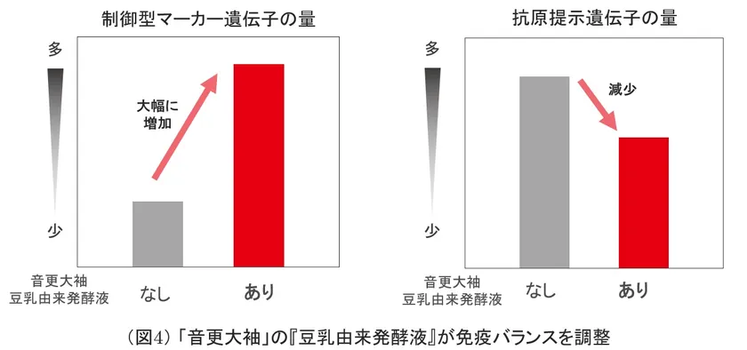 (図4)「音更大袖」の『豆乳由来発酵液』が免疫バランスを調整