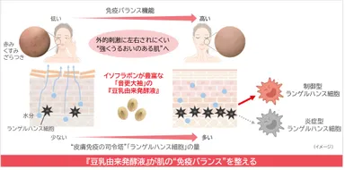 研究成果の概要