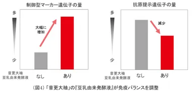 (図4)「音更大袖」の『豆乳由来発酵液』が免疫バランスを調整