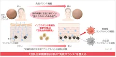 研究成果の概要