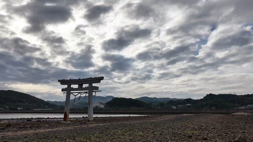 画像4