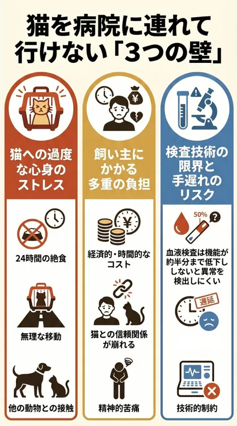 猫を動物病院へ連れて行く際には、猫へのストレス、飼い主様の負担、受診判断の難しさなど、さまざまなハードルがあります。