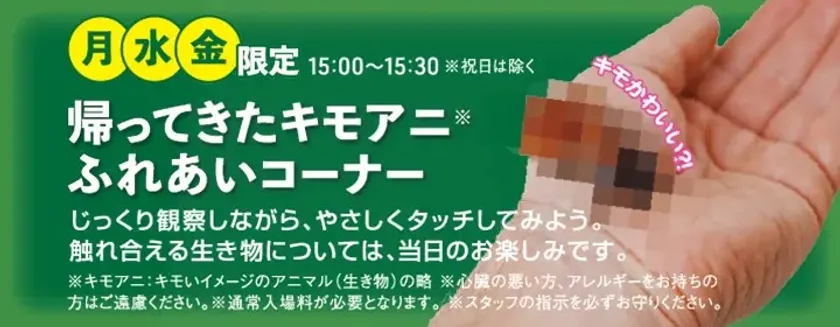 ふれあいコーナー