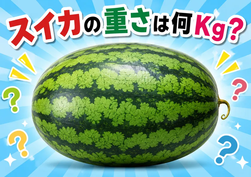 巨大スイカ重さ当てクイズ　※画像はイメージです