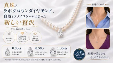 マクアケの見出し