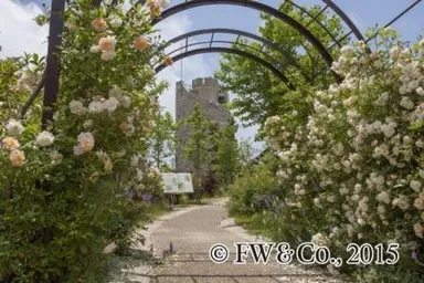 バラの小径ローズウオーク(イメージ)