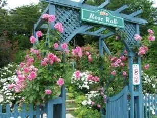 ローズウオーク入口(イメージ)