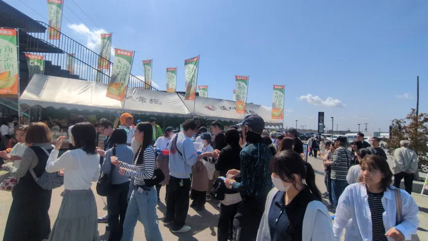 朝一メロン大特価市