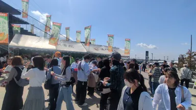 朝一メロン大特価市