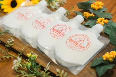 常滑牛乳アイス