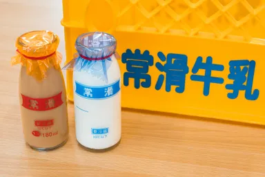 常滑牛乳
