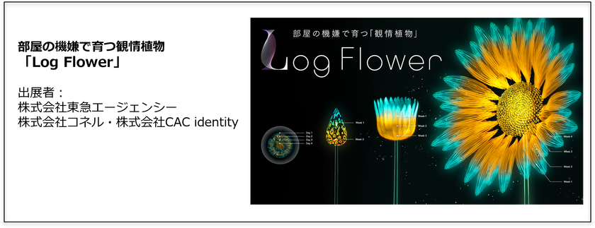 観情植物「Log Flower」が「Tokyo Mirai Park」にて展示開始　
最先端テクノロジーで作る「未来の一日」を体験