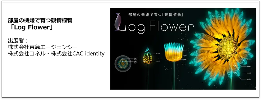 Log Flower