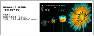 Log Flower