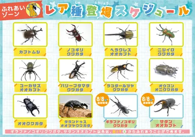 世界のレア昆虫が大集結！