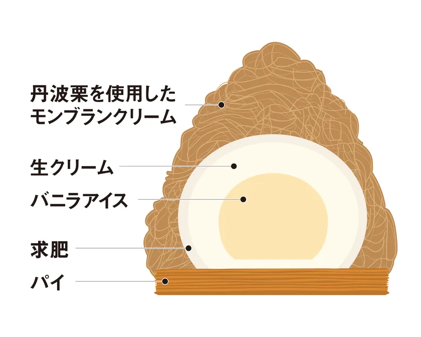 断面イメージ