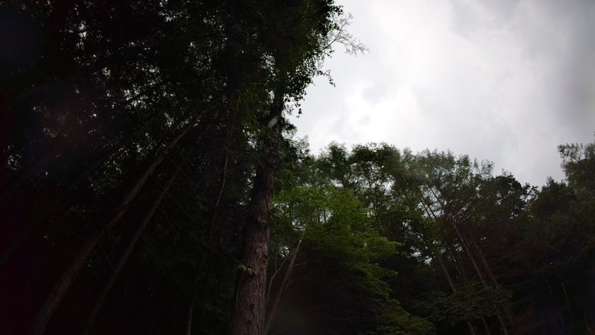 画像9