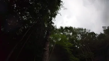 本物の自然現象を粘り強く待機
