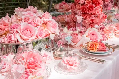 西山美なコ 《～melting dream～》