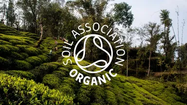 英国最大級のオーガニック認証機関「Soil Association」