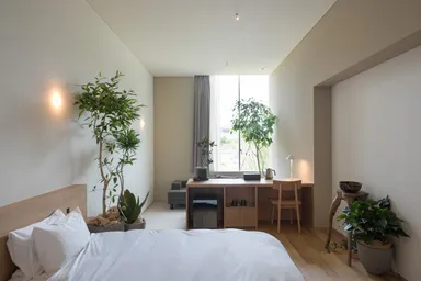 garage room
