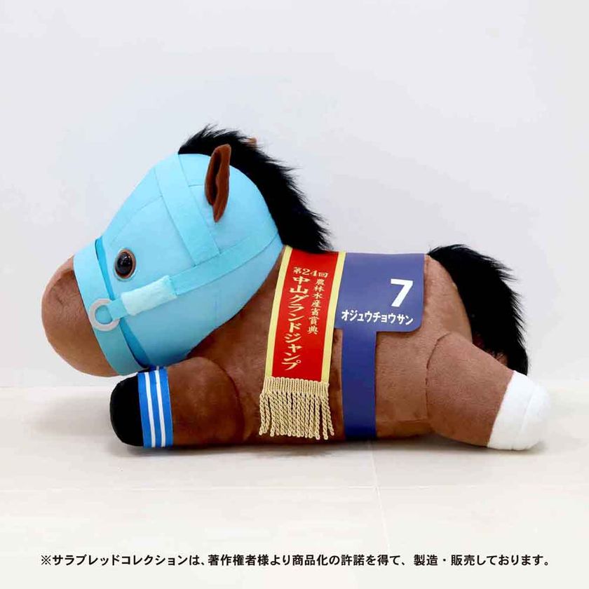 画像7