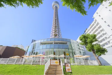 【横浜マリンタワー】