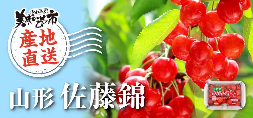 日本百貨店が全国の旬を届ける新企画　
「産直 とれたて！美味いもの市」を6月20日よりスタート　
～第1弾は山形県産の完熟朝摘み「佐藤錦」～
