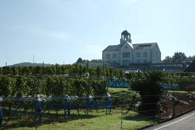 中伊豆ワイナリー　シャトーT.S外観