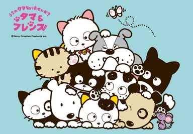 タマ＆フレンズ～うちのタマ知りませんか？～