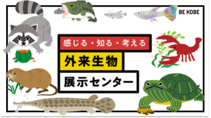 画像15